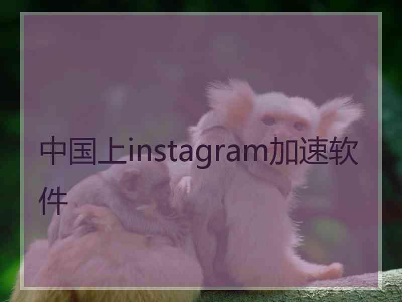 中国上instagram加速软件