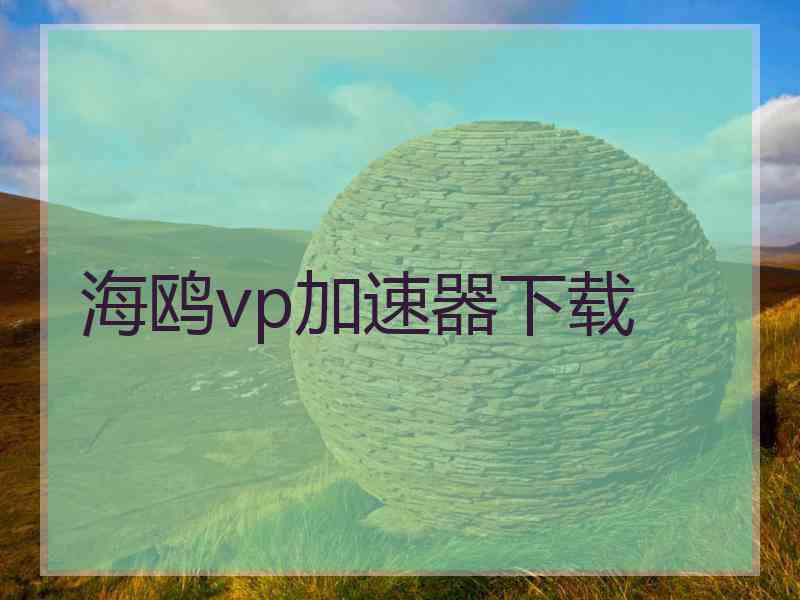 海鸥vp加速器下载