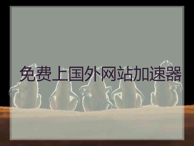 免费上国外网站加速器