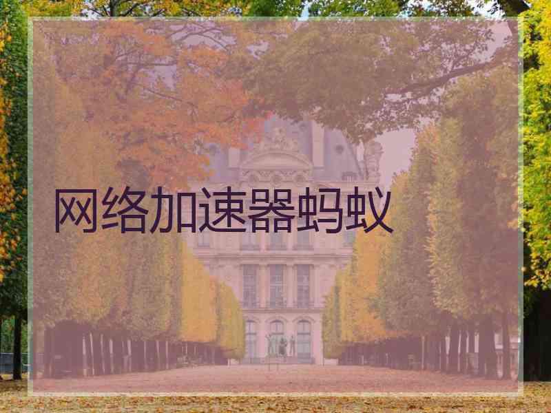 网络加速器蚂蚁