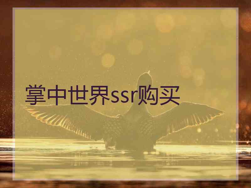 掌中世界ssr购买