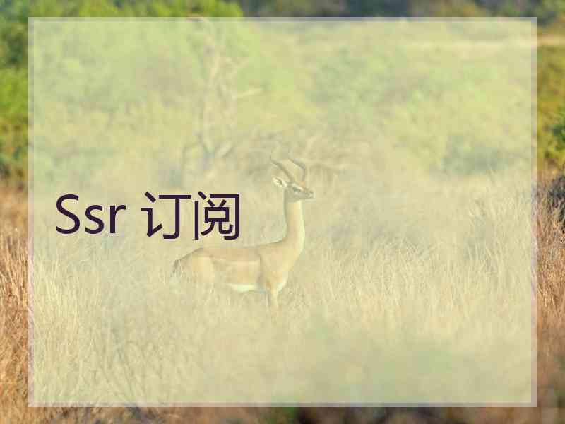 Ssr 订阅