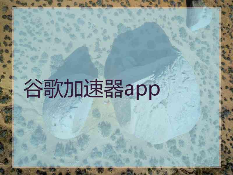 谷歌加速器app