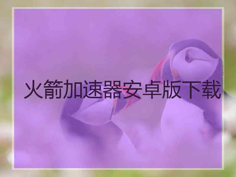 火箭加速器安卓版下载
