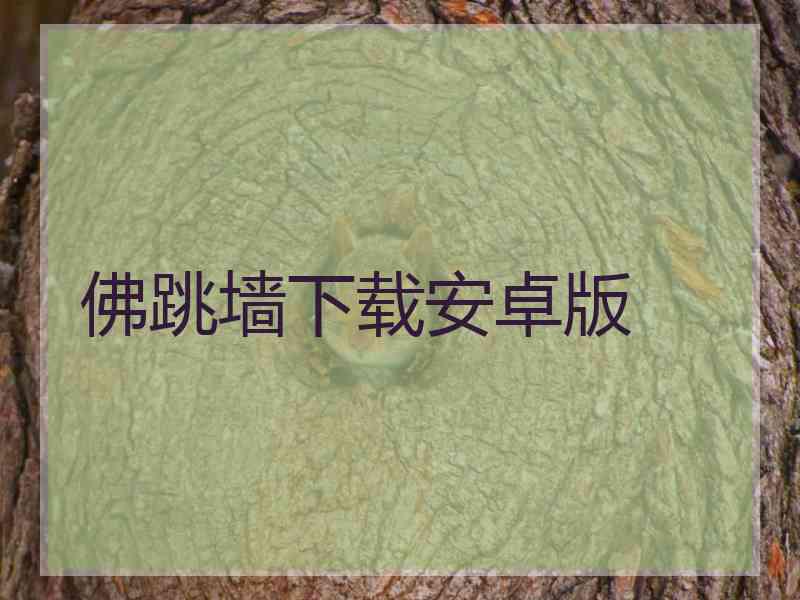 佛跳墙下载安卓版