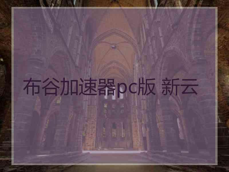 布谷加速器pc版 新云