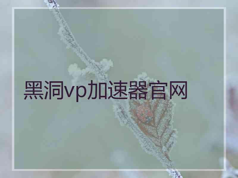 黑洞vp加速器官网
