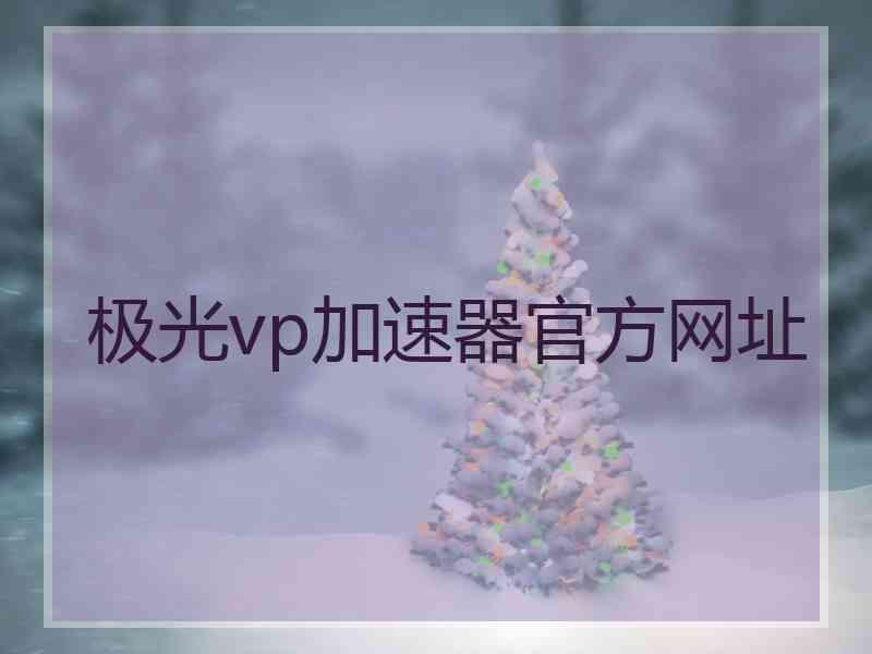 极光vp加速器官方网址