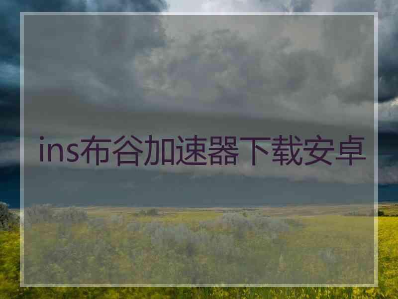 ins布谷加速器下载安卓