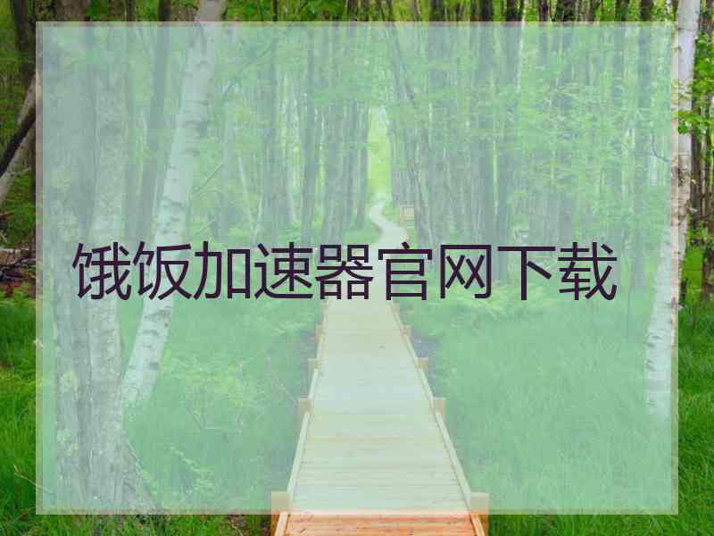 饿饭加速器官网下载