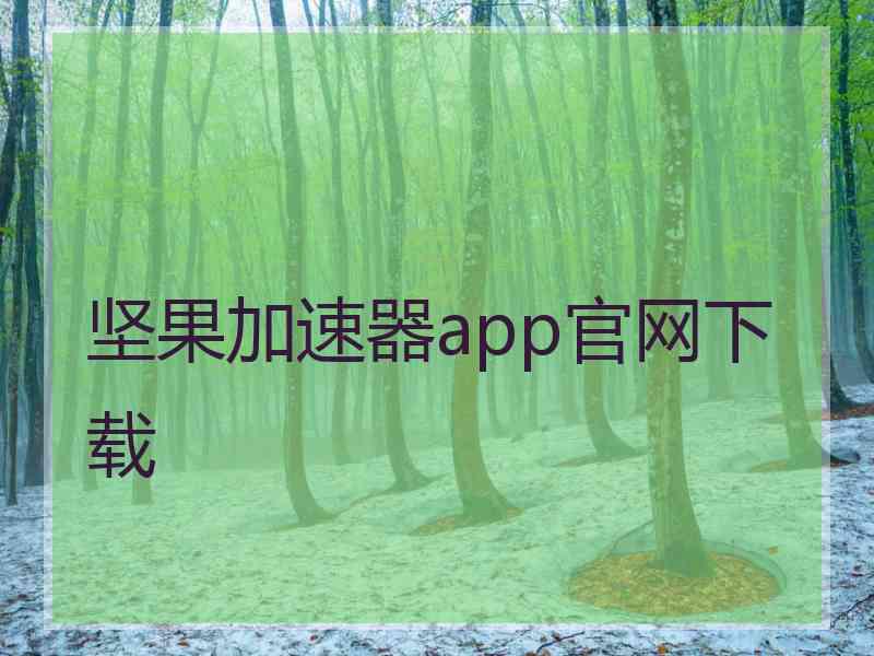 坚果加速器app官网下载