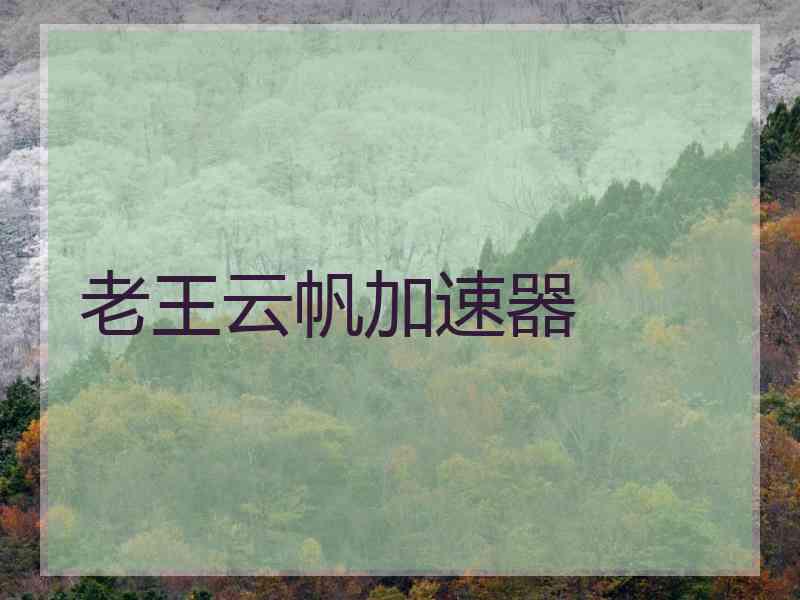 老王云帆加速器