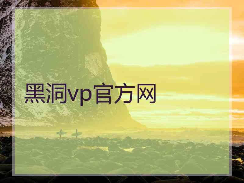 黑洞vp官方网