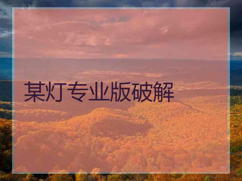 某灯专业版破解