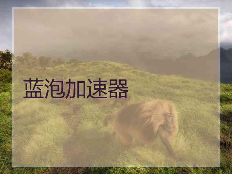 蓝泡加速器