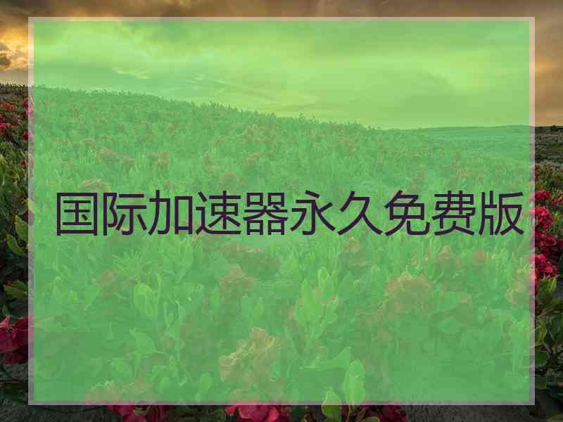 国际加速器永久免费版