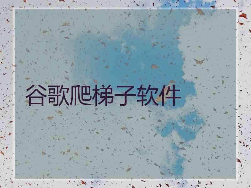 谷歌爬梯子软件