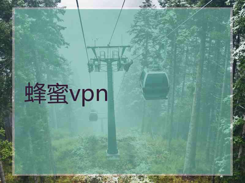 蜂蜜vpn