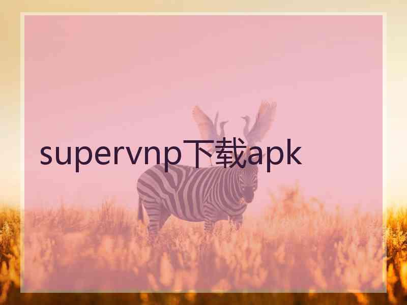 supervnp下载apk