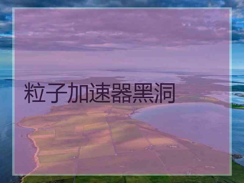 粒子加速器黑洞