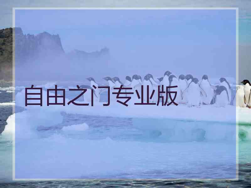 自由之门专业版
