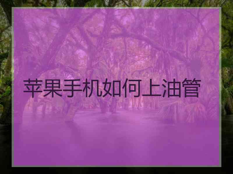 苹果手机如何上油管