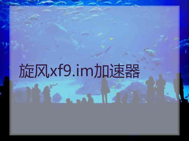 旋风xf9.im加速器