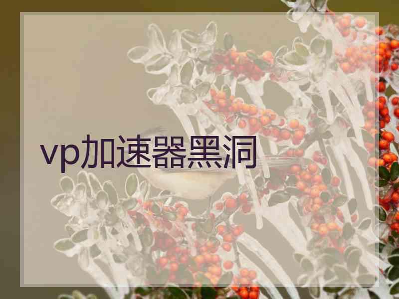 vp加速器黑洞