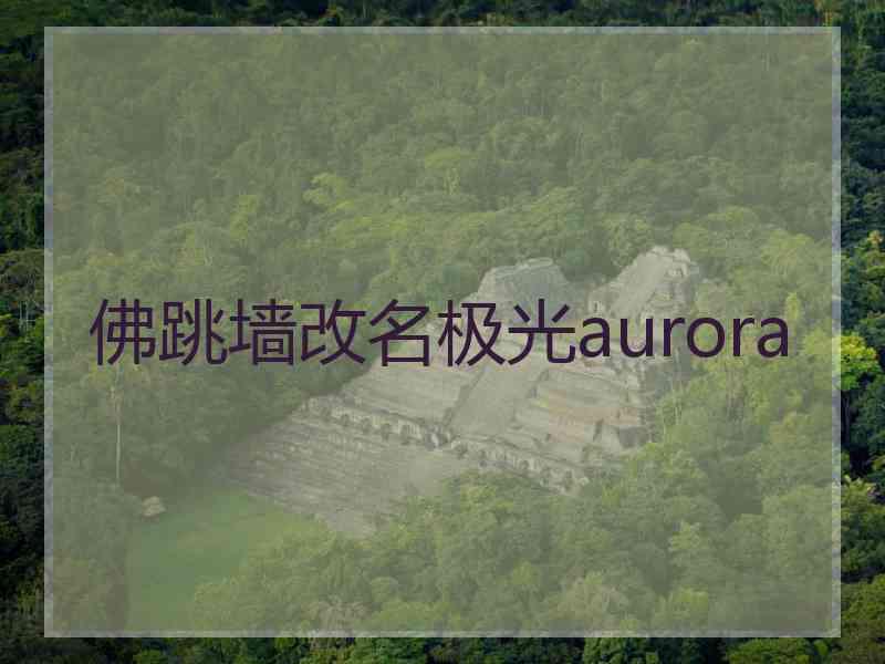 佛跳墙改名极光aurora