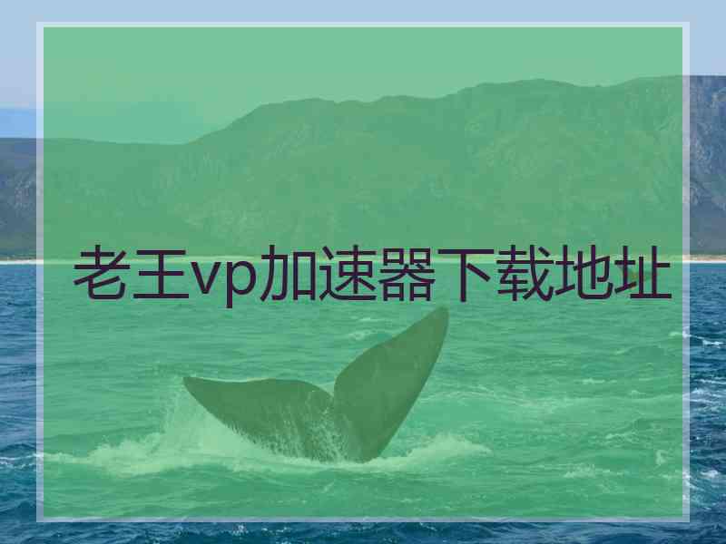 老王vp加速器下载地址