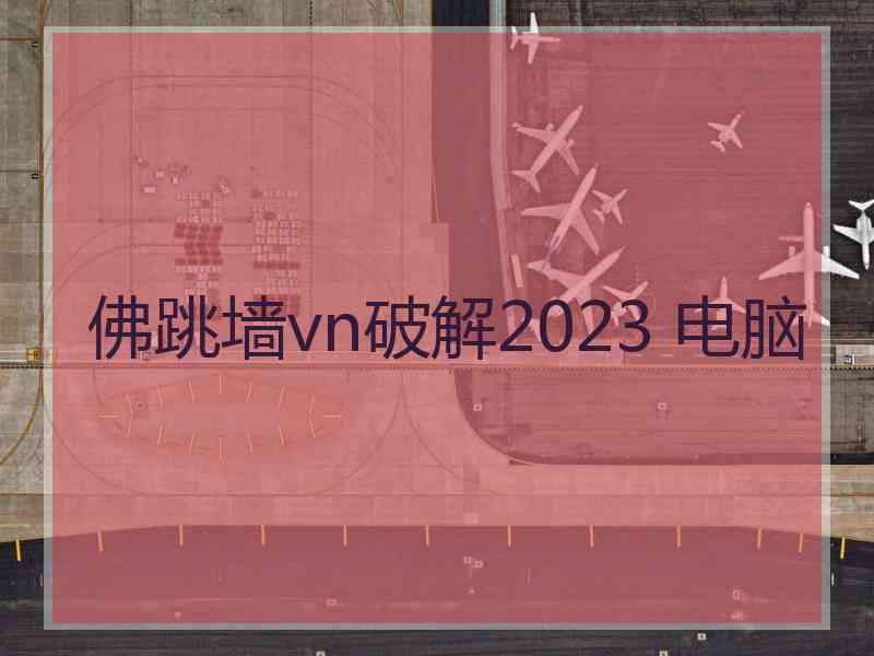 佛跳墙vn破解2023 电脑
