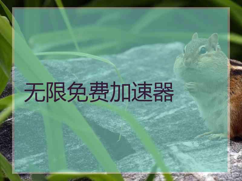 无限免费加速器