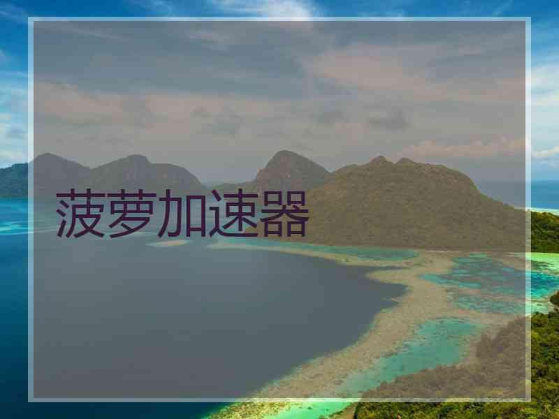 菠萝加速器