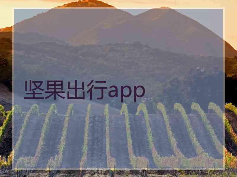 坚果出行app