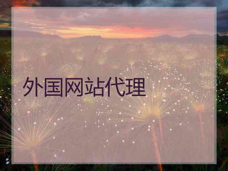 外国网站代理
