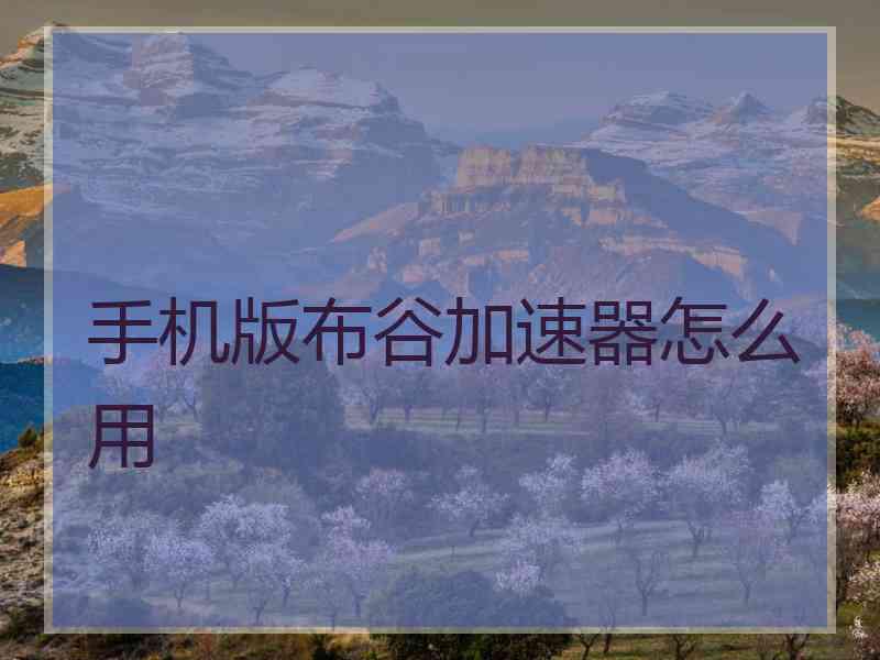 手机版布谷加速器怎么用