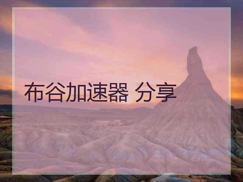 布谷加速器 分享