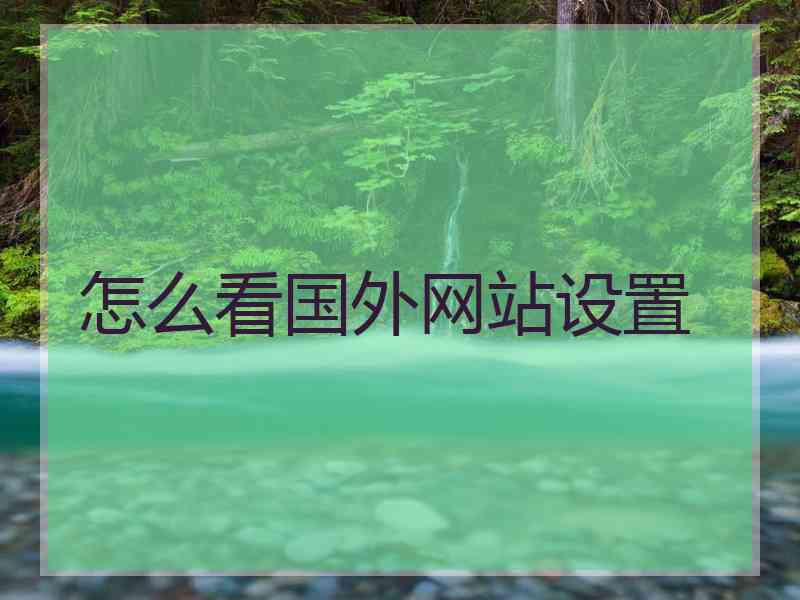 怎么看国外网站设置