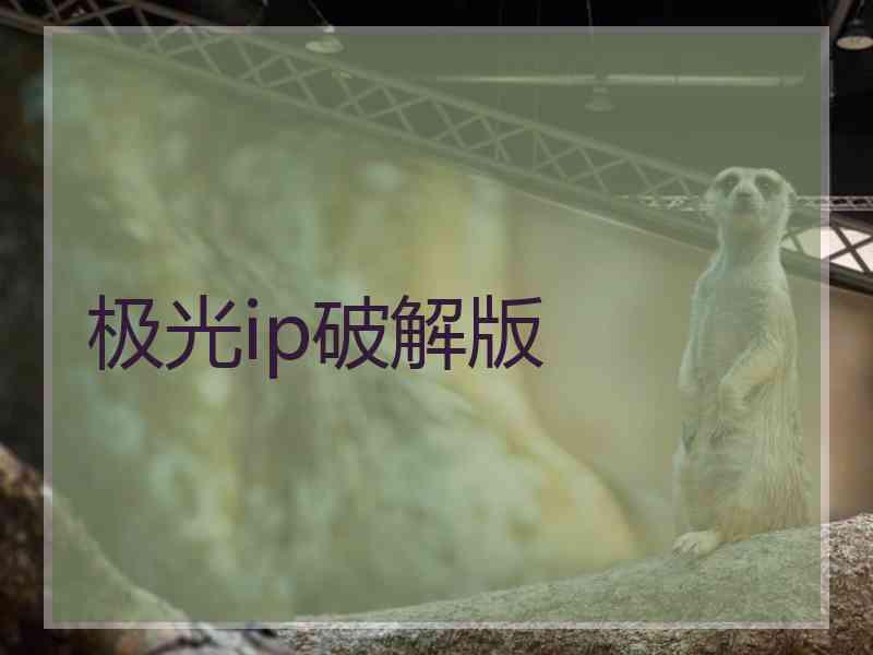 极光ip破解版
