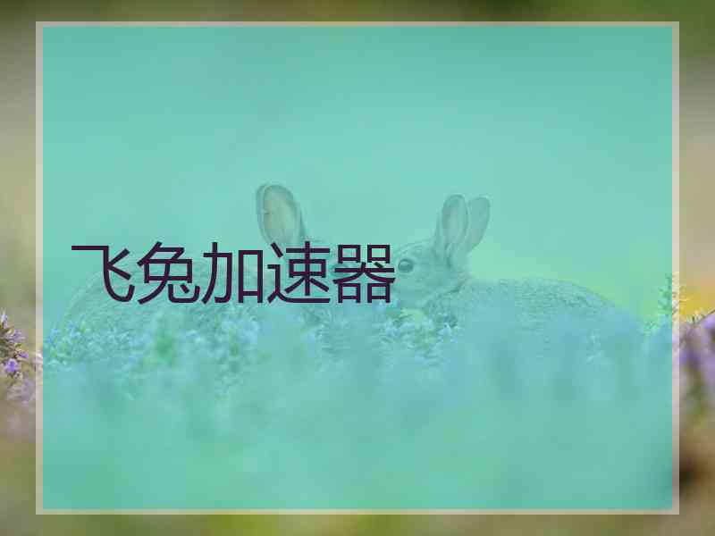 飞兔加速器