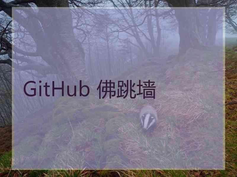 GitHub 佛跳墙