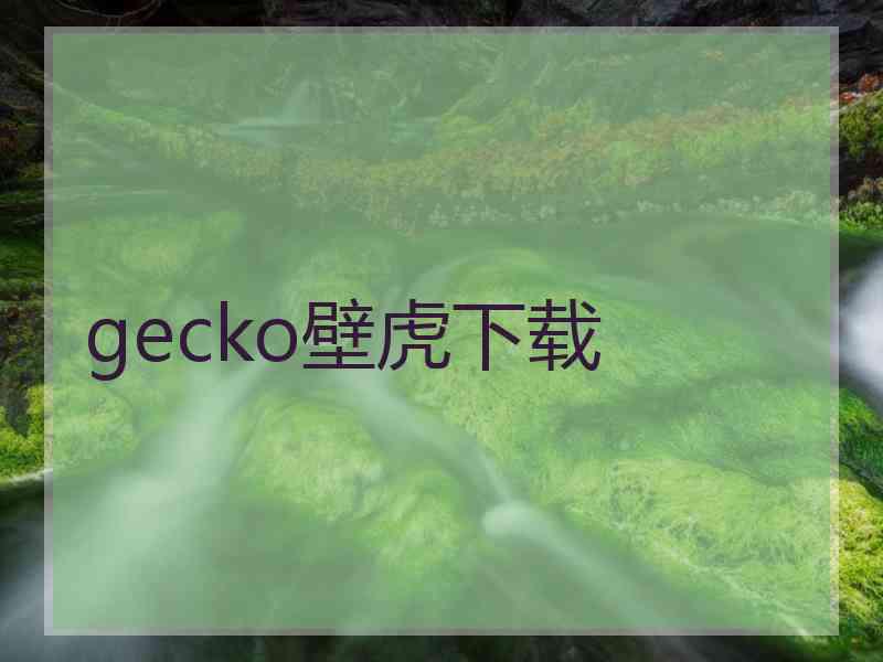gecko壁虎下载