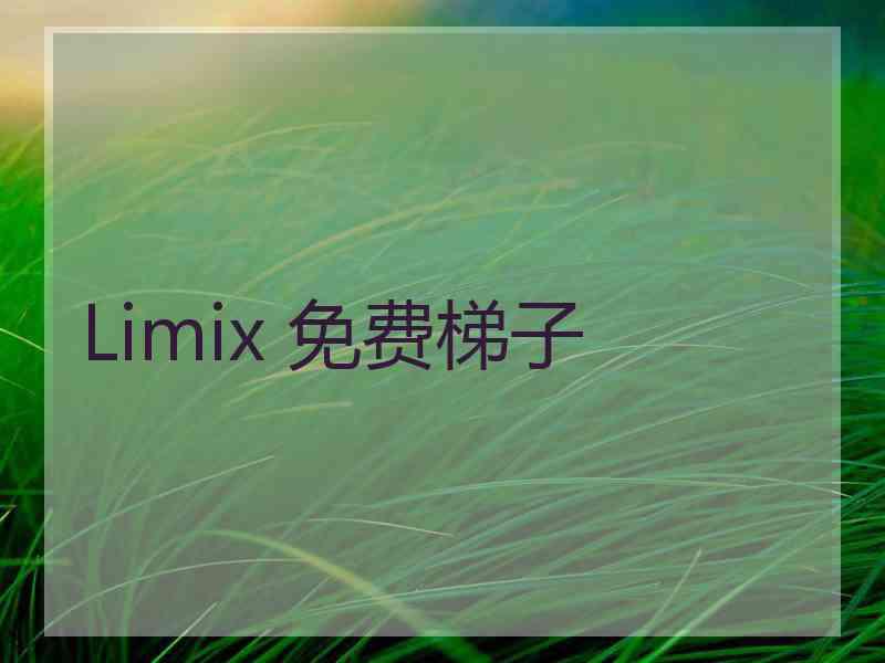 Limix 免费梯子