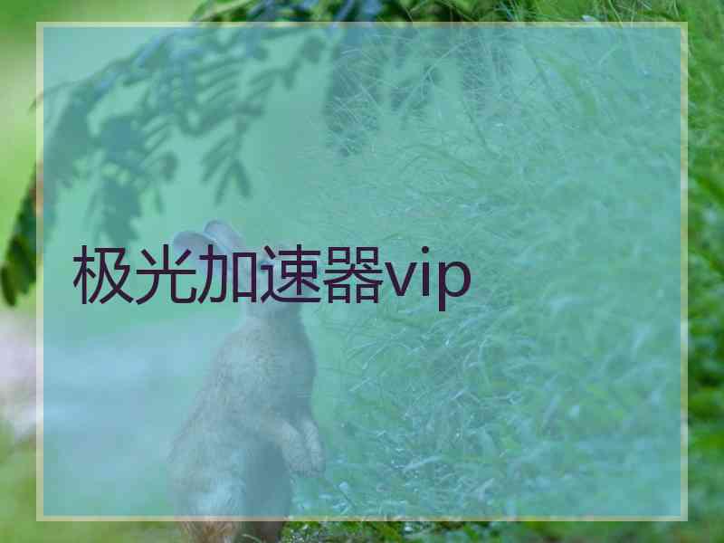 极光加速器vip