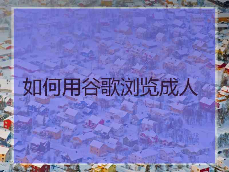 如何用谷歌浏览成人
