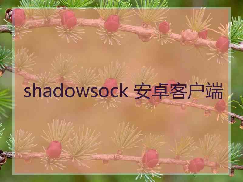 shadowsock 安卓客户端