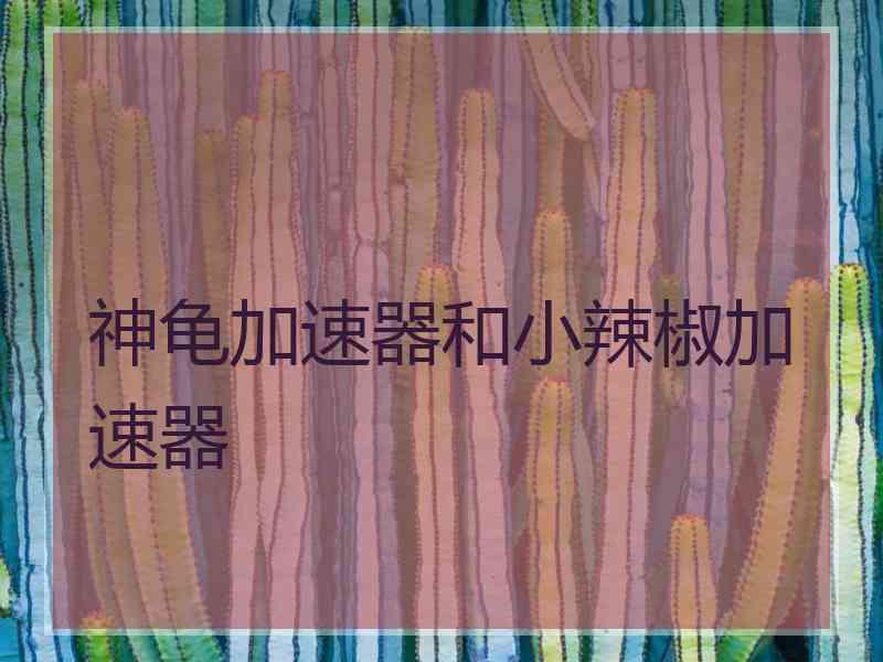 神龟加速器和小辣椒加速器