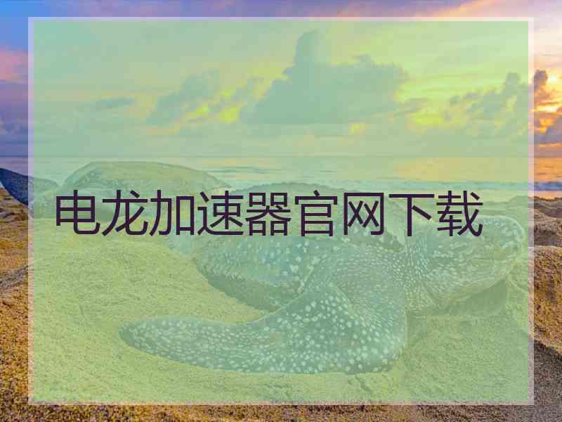 电龙加速器官网下载