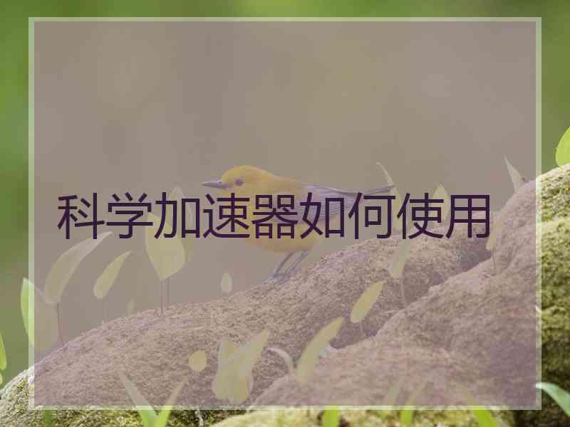 科学加速器如何使用