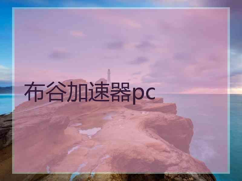 布谷加速器pc
